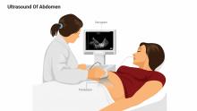 Ultrasound Of Abdomen